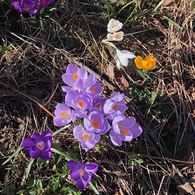 We&rsquo;ve reached the spring equinox and there&rsquo;s sun in the forecast, but has spring actually arrived in Nova Scotia?