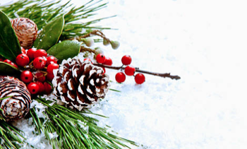 Image: Christmas Cheer Open House