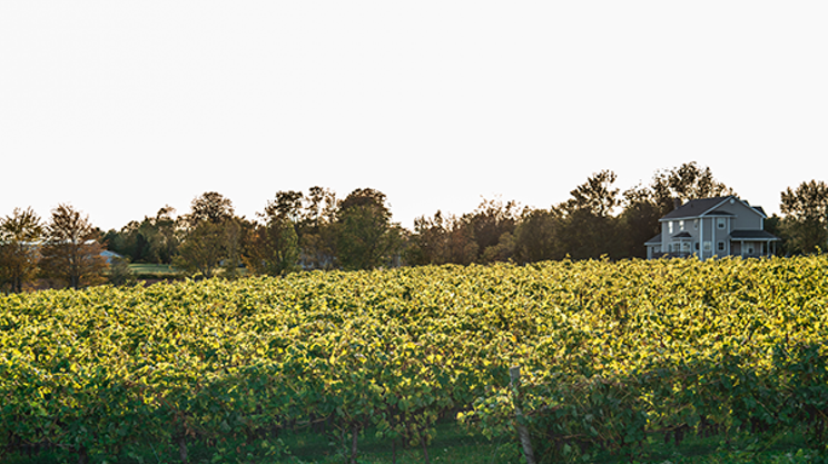 Image: A fall wine to-do list
