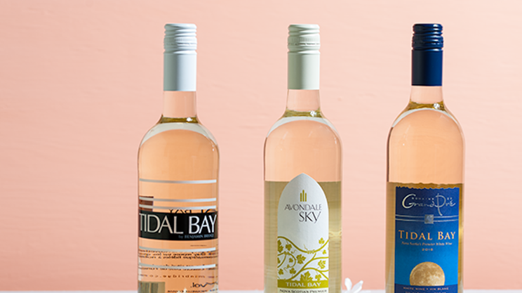 Image: A toast to our ocean playground: the best three Tidal Bays of 2018