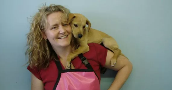 Best Dog Groomer