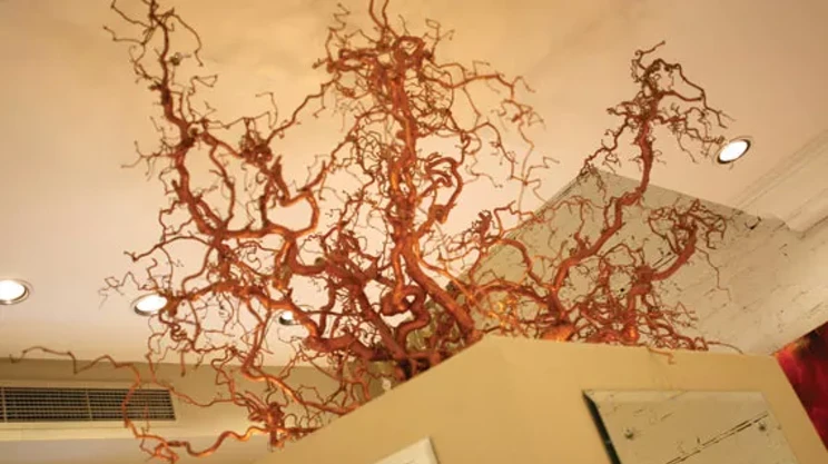 Image: Best Hair Salon