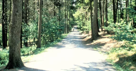 Best Place To Walk Your Dog