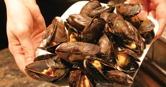Best Seafood
