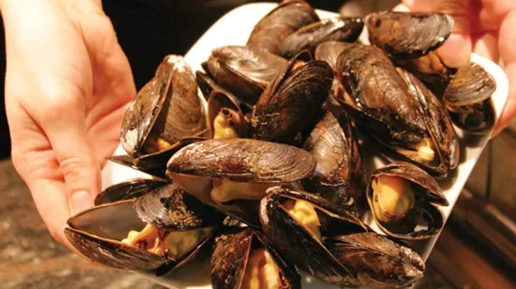 Image: Best Seafood