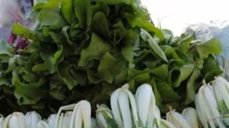 Image: Best Stall At The Halifax Farmers&rsquo; Market (Produce)