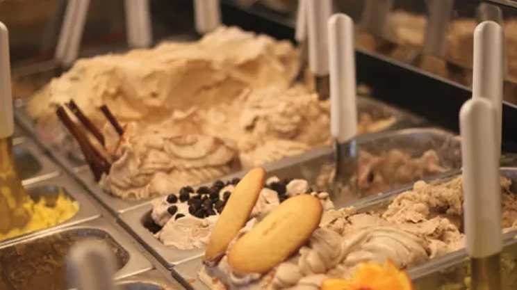 Image: Humanity Day= a whole gelato fun