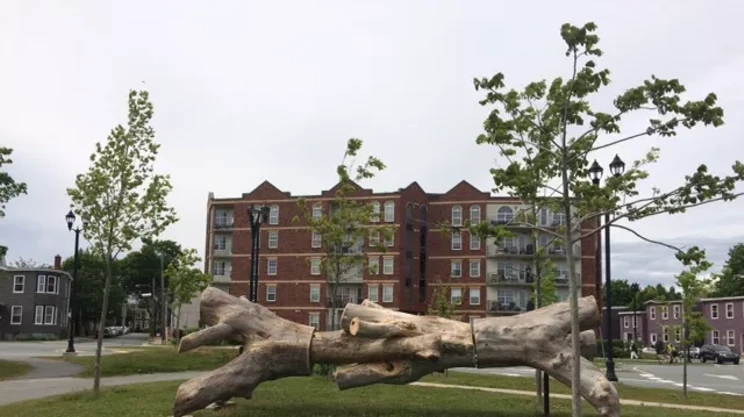 Image: Our Common Woods resurrects trees through art