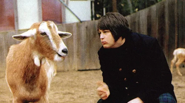 Image: Pet Sounds tour hits Halifax