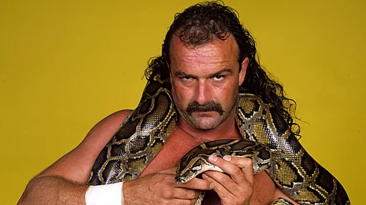 Image: Q&A with Jake "The Snake" Roberts