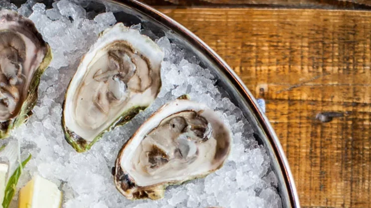 Image: Shuck Seafood + Raw Bar