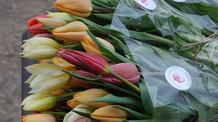 Image: Sorry veggies, flowers are the new CSA