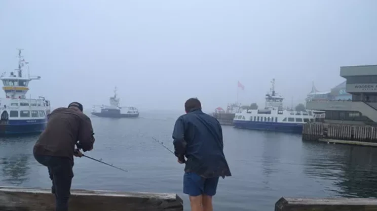 Image: Squid goals: urban fishing in Halifax