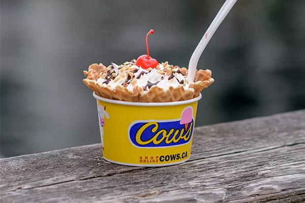 Best Ice Cream / Gelato / Frozen Yogurt