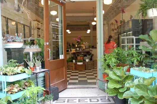 Best Flower Shop