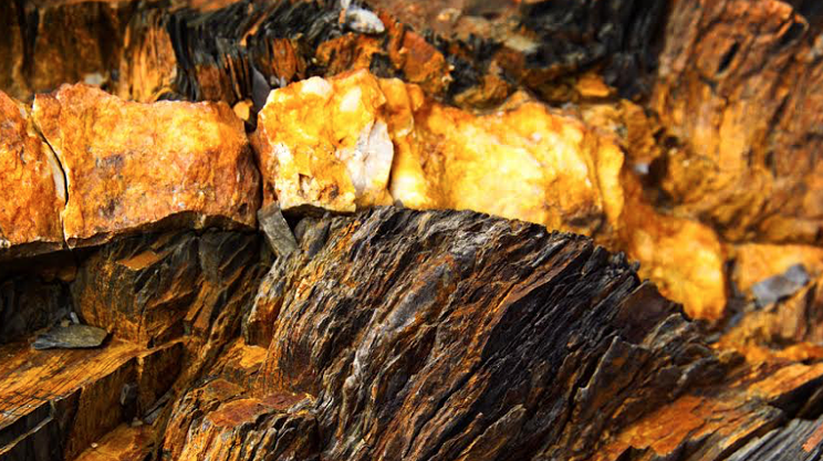 Image: Visual art review: Ted Coldwell, Colours from the Earth